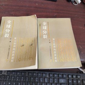 全球分裂 第三世界的历史进程（上下）