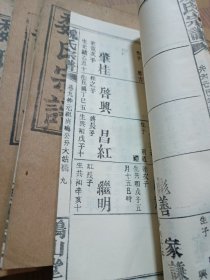 魏氏宗谱（27册合售）