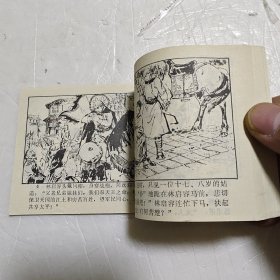 连环画  林启容