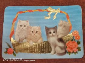 年历卡：四只小猫 1978年
