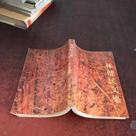 林健民文集