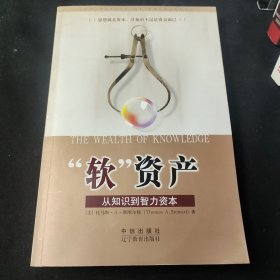 “软”资产：从知识到智力资本