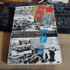 西路军生死档案