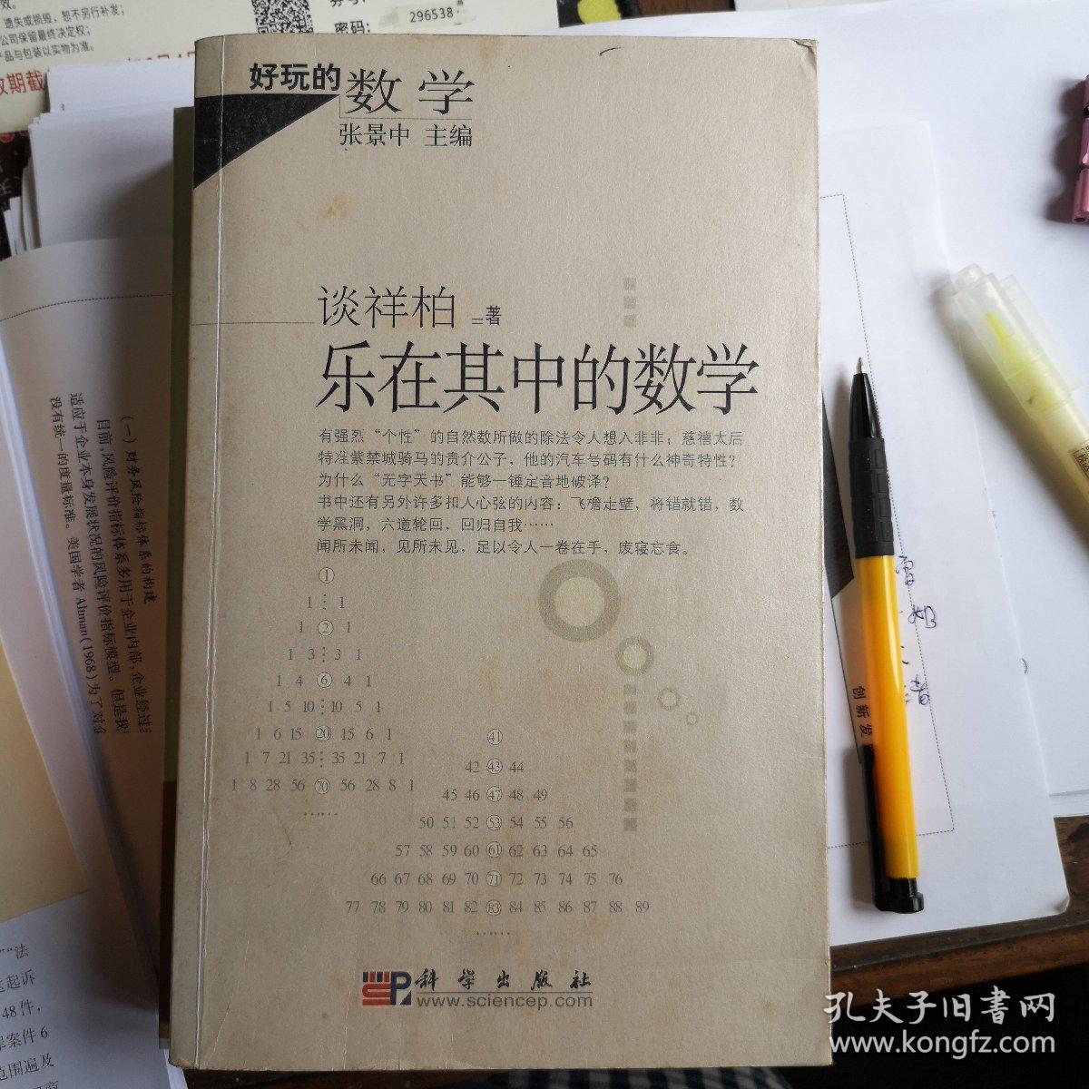 乐在其中的数学