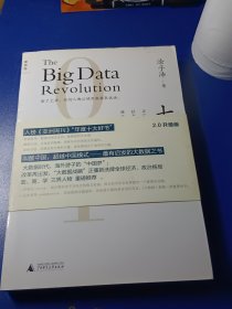 大数据：正在到来的数据革命，以及它如何改变政府、商业与我们的生活