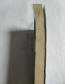 PROTEIN SYNTHESIS Volume1 蛋白质合成第一卷