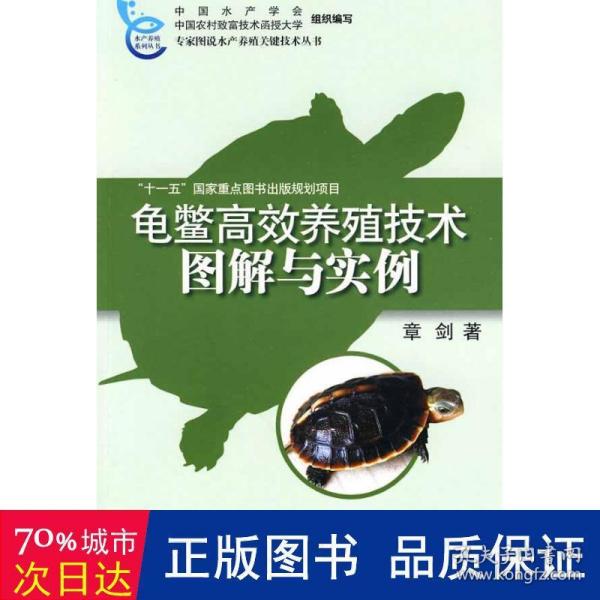 龟鳖高效养殖技术图解与实例