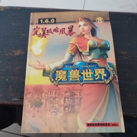 魔兽世界，完美攻略风暴