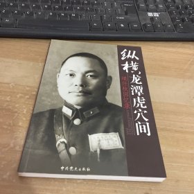 纵横龙潭虎穴间：靖任秋回忆录