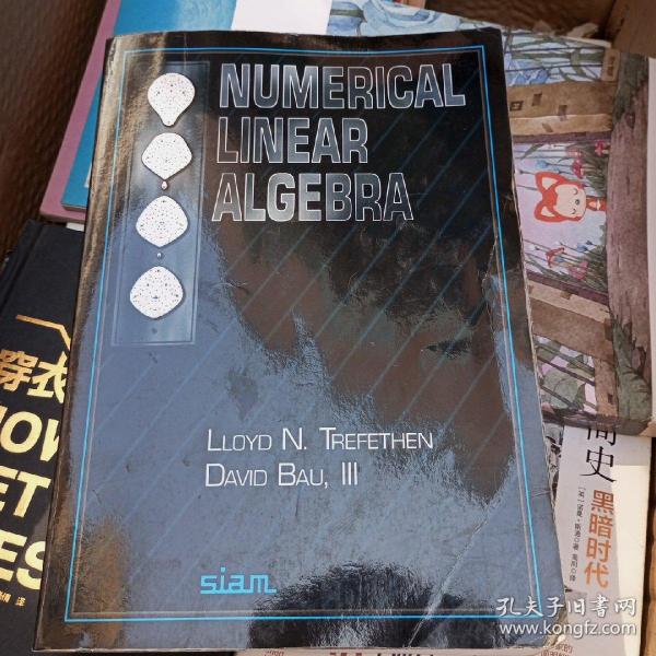 Numerical Linear Algebra