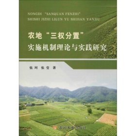农地"三权分置"实施机制理论与实践研究