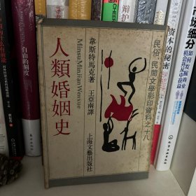 人类婚姻史