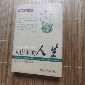 大山里的人生