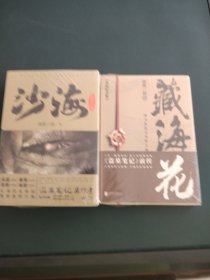 盗墓笔记系列：吴邪的盗墓笔记+沙海（全3册）