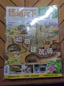 传奇天下 好奇号（2024年12月上、中旬+赠品）全3本未拆封