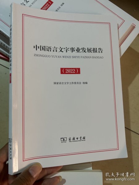 中国语言文字事业发展报告（2022）