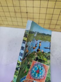 湘菜集锦.续集