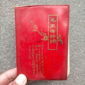 毛主席诗词试解