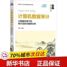 计算机数据审计(大数据环境下的审计实务与案例分析21世纪经济管理精品教材)/会计学系列