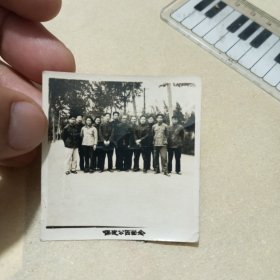 老照片——60年代保定市一中部分教师在保定公园留念合影照片