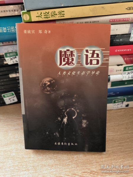 魔语：人类文化生态学导论