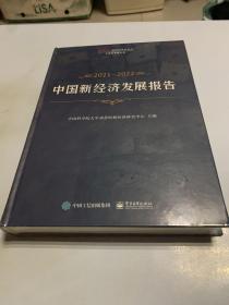 中国新经济发展报告2021—2022 (全新未开封）