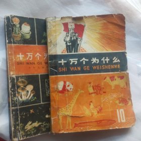 十万个为什么10