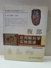 临床解剖学实物图谱丛书·腹部应用解剖学实物图谱