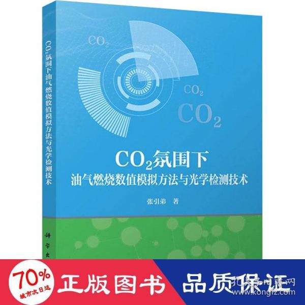 CO2氛围下油气燃烧数值模拟方法与光学检测技术