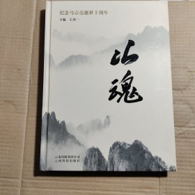 山魂 : 纪念马宗亮逝世十周年