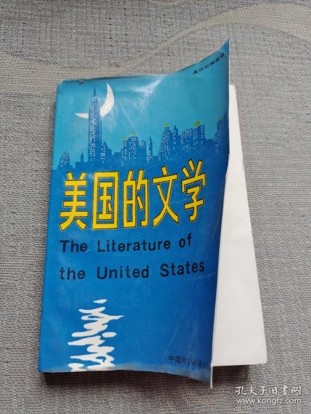 美国的文学（下卷）