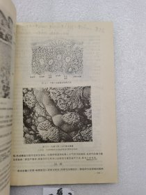 组织学与胚胎学:基础.预防.监床.口腔医学类专业用