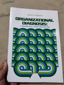 Organizational Diagnosis  A Workbook Of Theory And Practice
