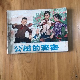 连环画 公树的秘密