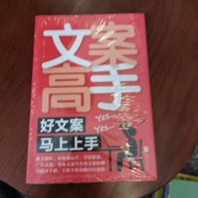 文案高手：好文案马上上手