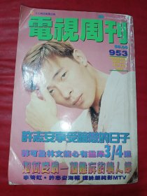 电视周刊 953