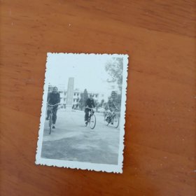 骑单车的美女照片两张