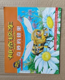 神奇校车 奇妙的蜂巢