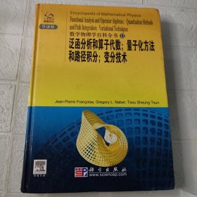 泛函分析和算子代数;量子化方法和路径积分;变分技术