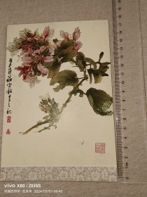 贺年卡：郑乃珖绘画作品——蹄甲