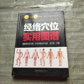 经络穴位实用图谱（汉竹）