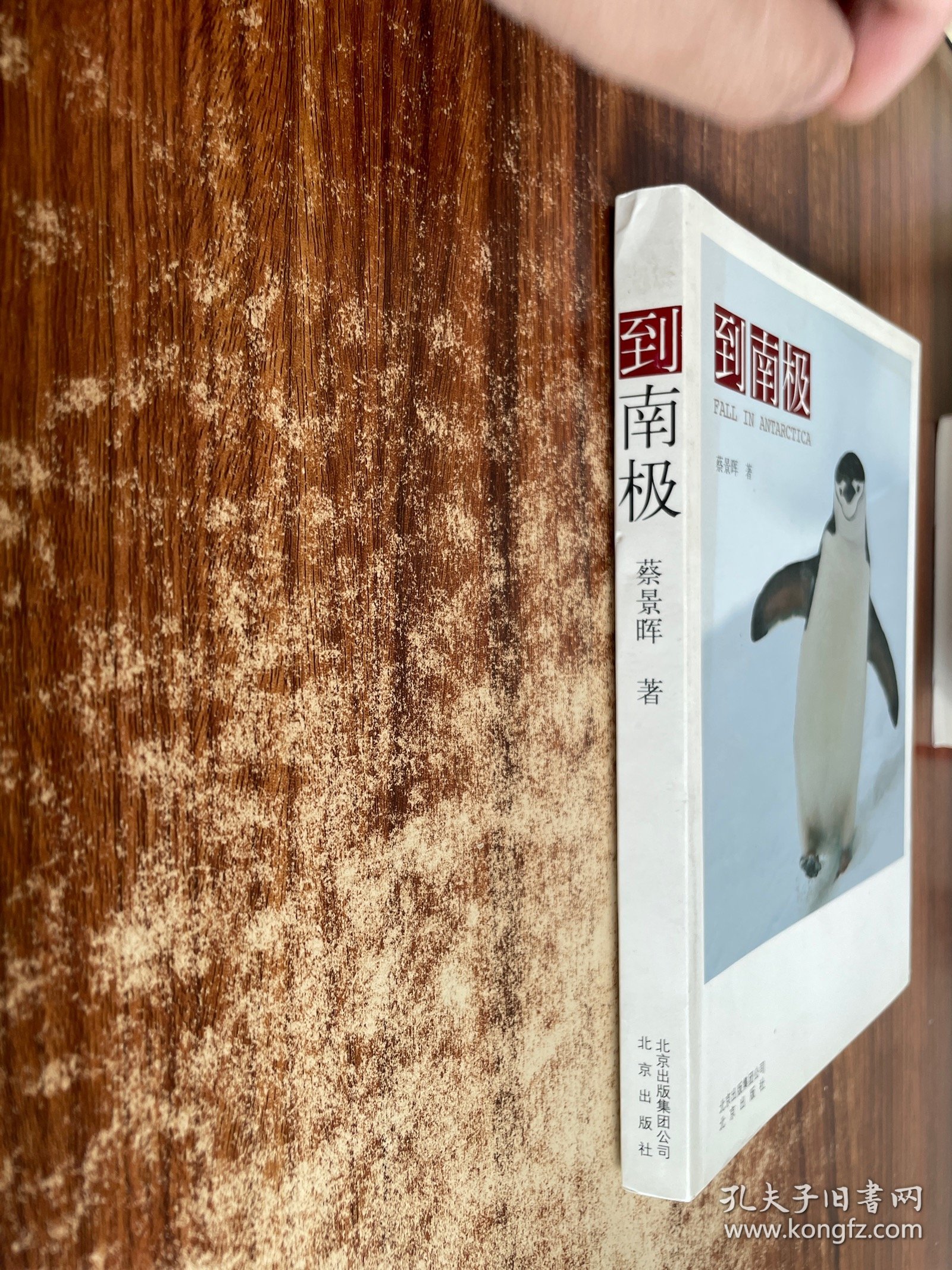 到南极