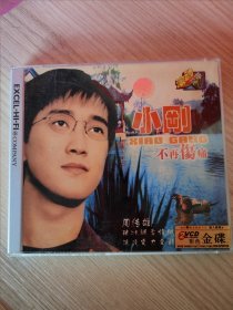 小刚 不再伤痛 2VCD