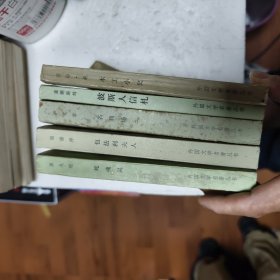 《外国文学名著丛书》名利场二，波斯人信札，木工小史，包法利夫人，死魂灵五册合售44/5/3