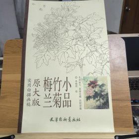 梅兰竹菊小品（实用白描画稿 原大版） 牡丹小品 观音 花鸟小品 扇面花鸟 五本合售