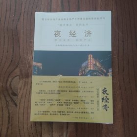 夜经济/技术要点系列丛书 (塑封未撤封)
