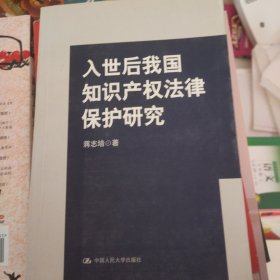 入世后我国知识产权法律保护研究