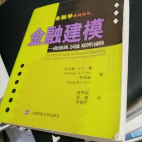 金融建模：应用于资本市场、公司金融、风险管理与金融机构正版