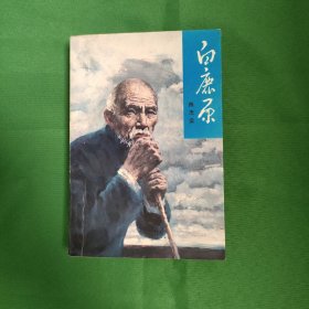 白鹿原 白鹿原 93年未删减版 一版2印 正版