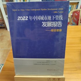 2022年中国城市地下管线发展报告:综合管廊